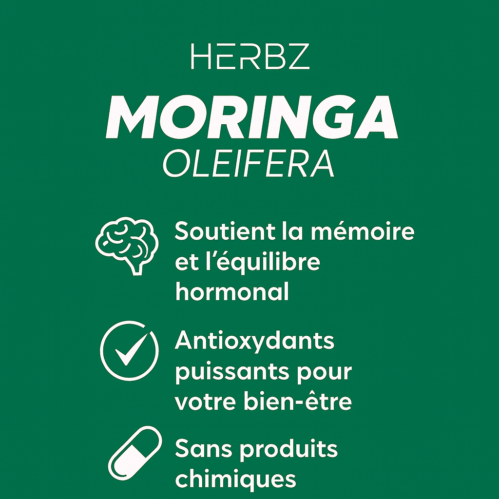 Moringa Oleifera — Super - plante de Vitalité - The Blad