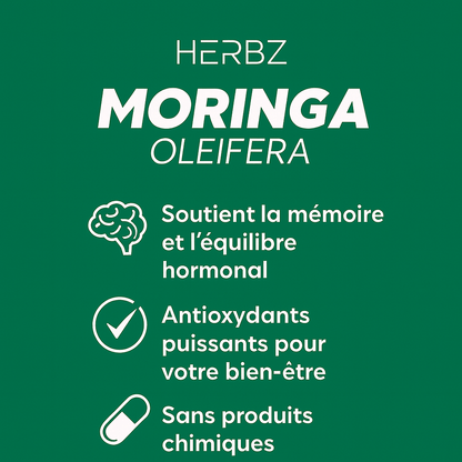 Moringa Oleifera — Super - plante de Vitalité - The Blad